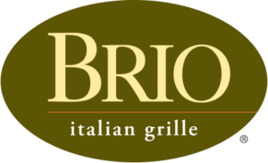 partner-brio